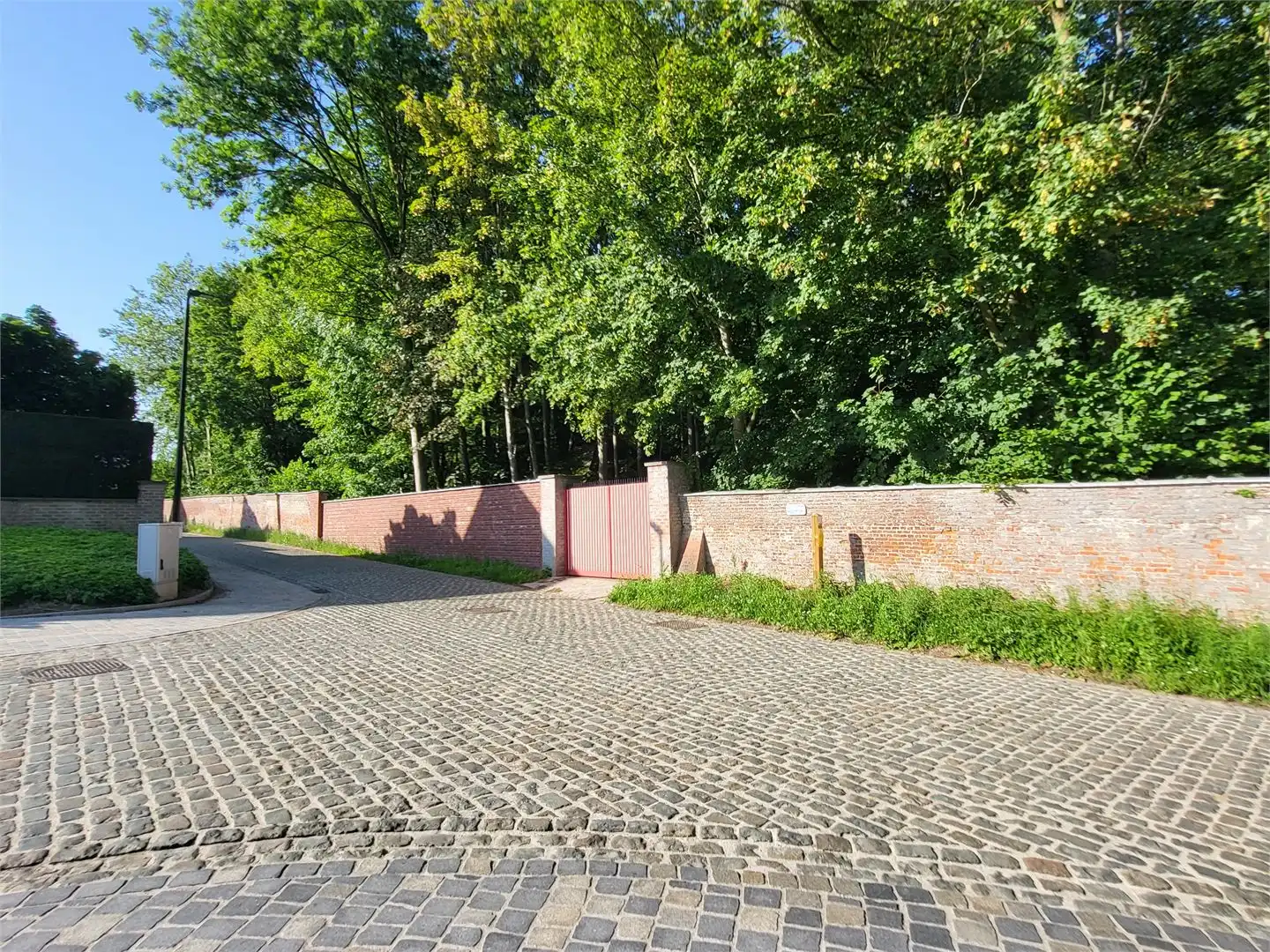 Exclusieve villa in pittoresk Roborst met vrij uitzicht op een bosgebied, zwembad en 4 garages. foto 12