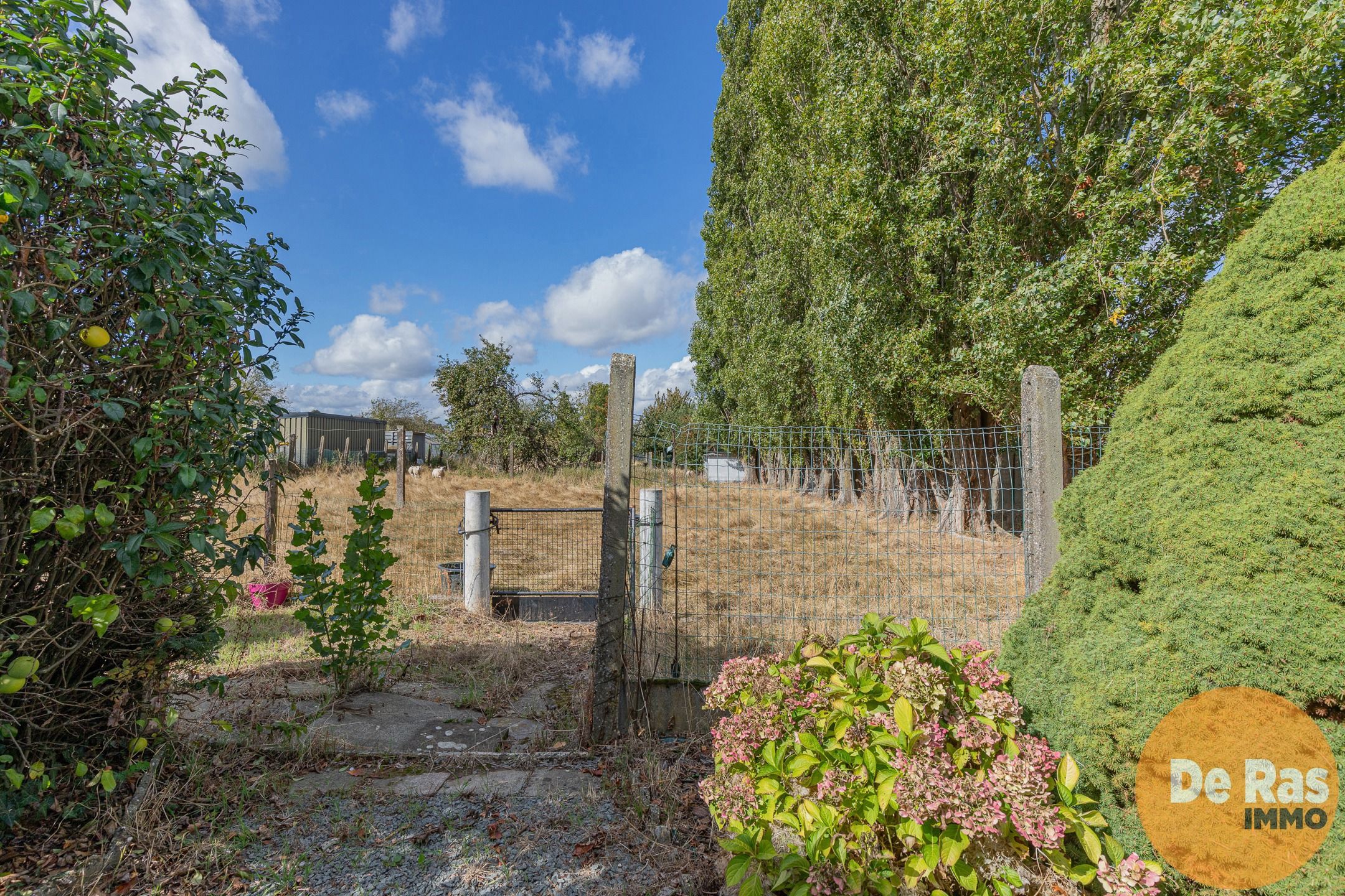 ERPE-MERE- Twee woningen in het landelijke Mere  foto 28