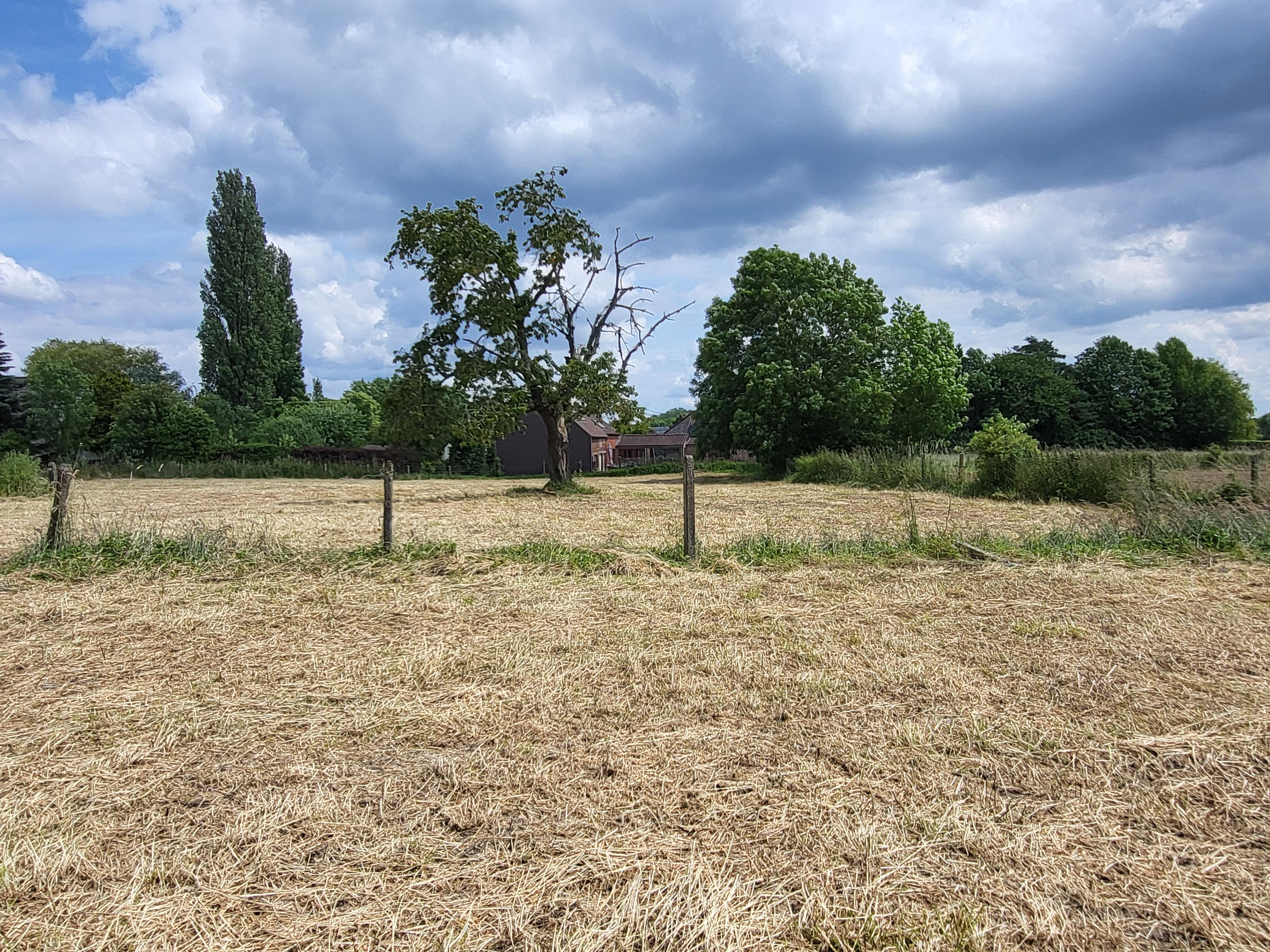 Charmant te renoveren vierkanthoeve op 2696m² met panoramisch uitzicht op de velden.  foto 28