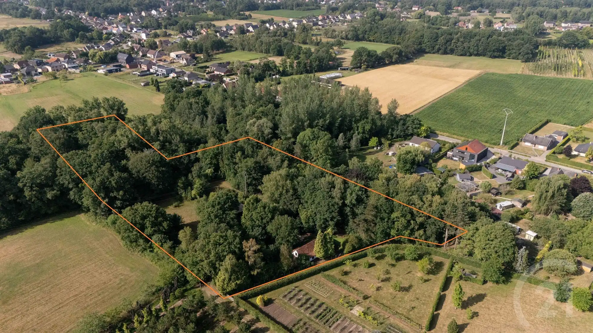 Unieke hoeve op domein van 1,5 ha – pure rust en natuurbeleving in het groen foto {{pictureIndex}}