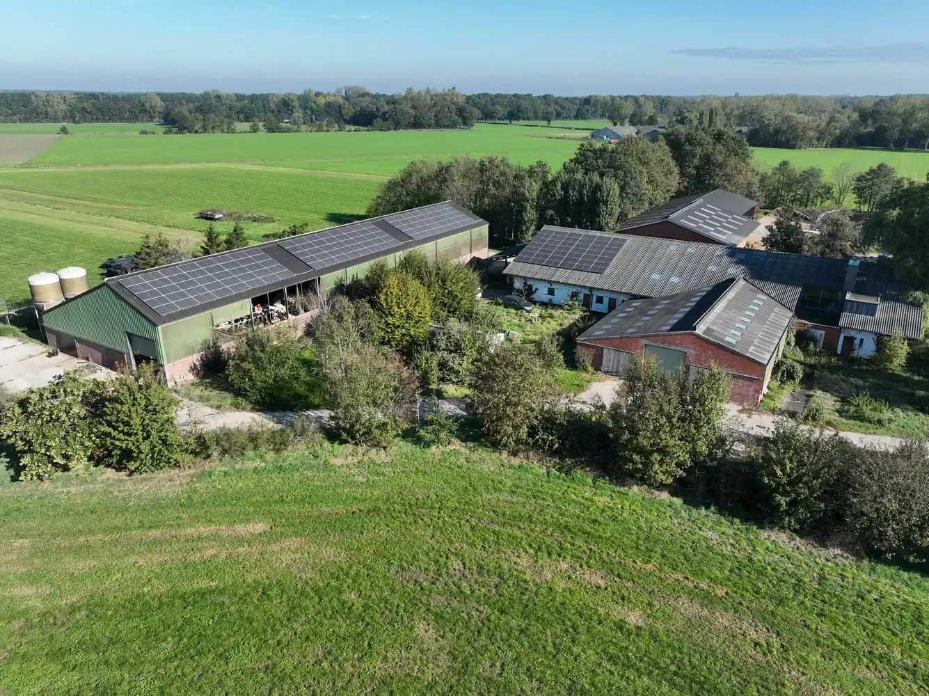 Melkveebedrijf en optionele landbouwgrond in Geel foto 2