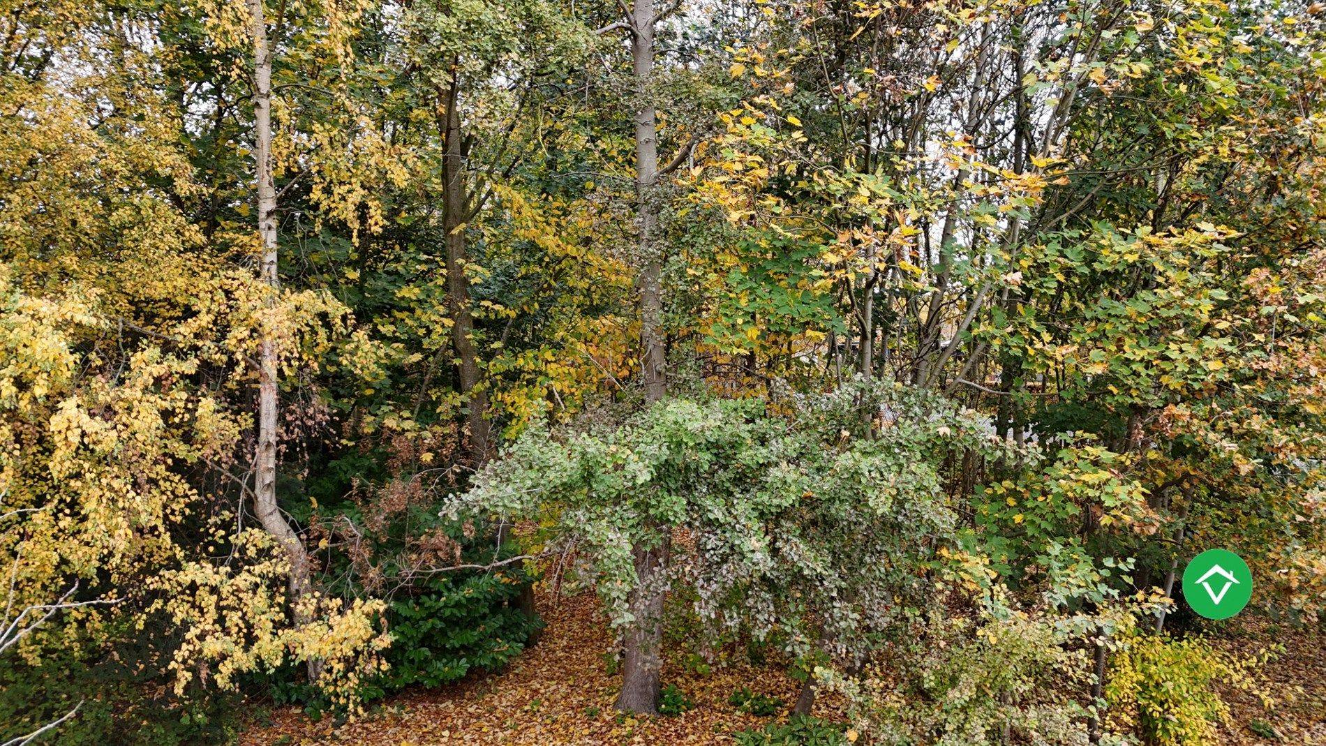 Ruime bungalow op 4140 m² met prachtige zichten en absolute rust in Torhout foto 32