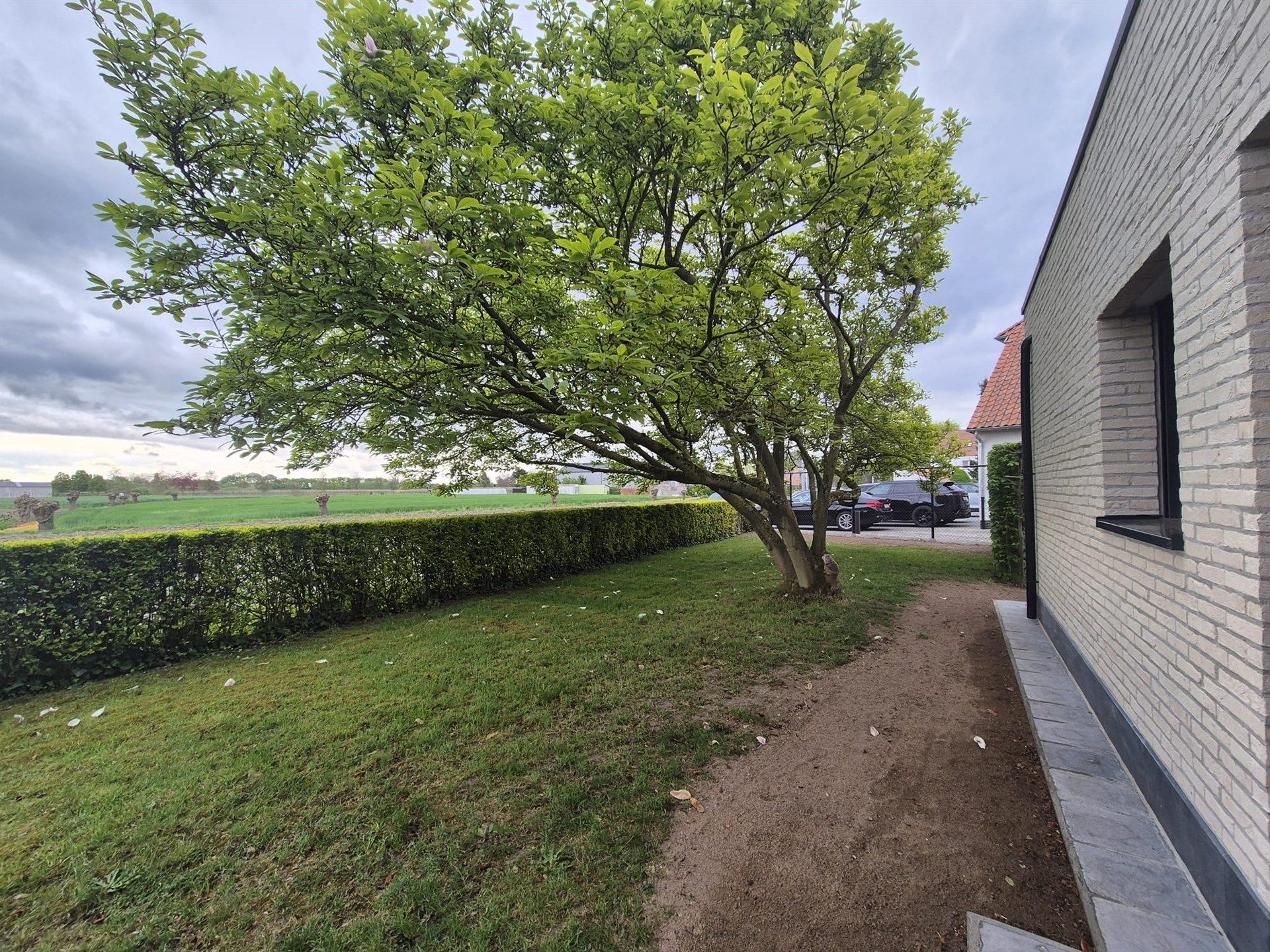 Gerenoveerde energiezuinige bungalow met 2 slaapkamers.  foto 15