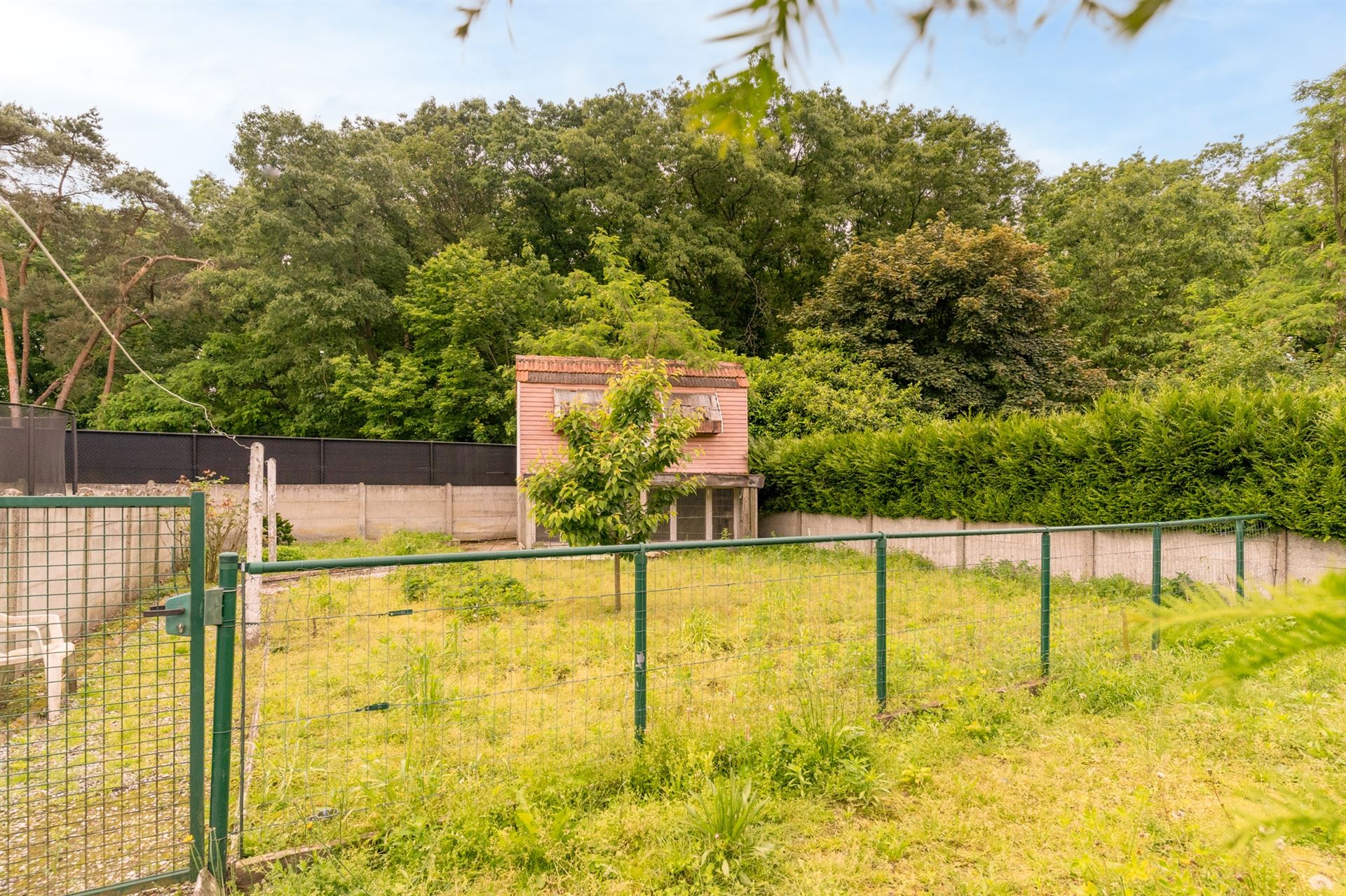 Charmante te renoveren woning op terrein van 500 m² foto 24