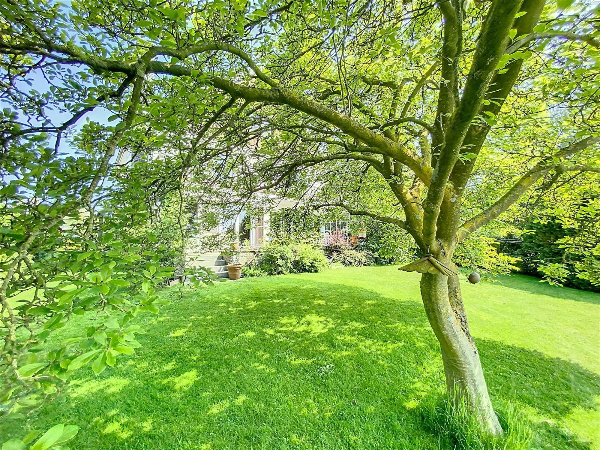 Villa gelegen aan de rand van de stad foto 50