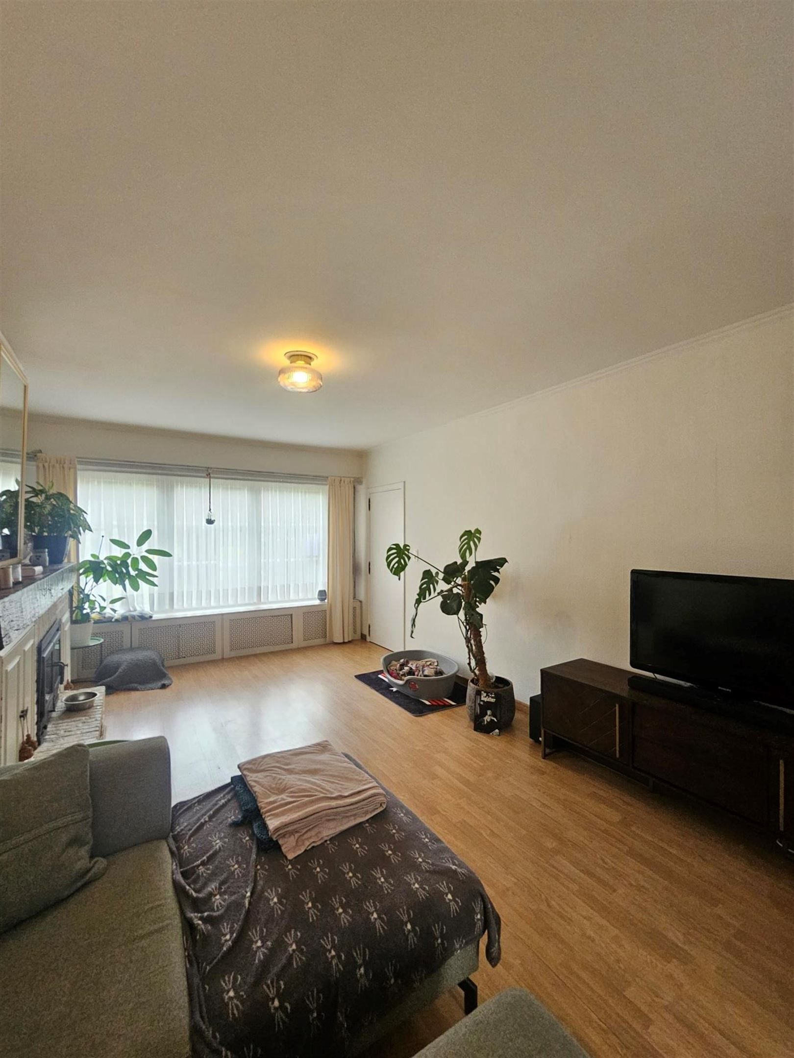 Charmante instapklare woning met o.a. 3 slpks, mooie tuin en oprit. foto 3