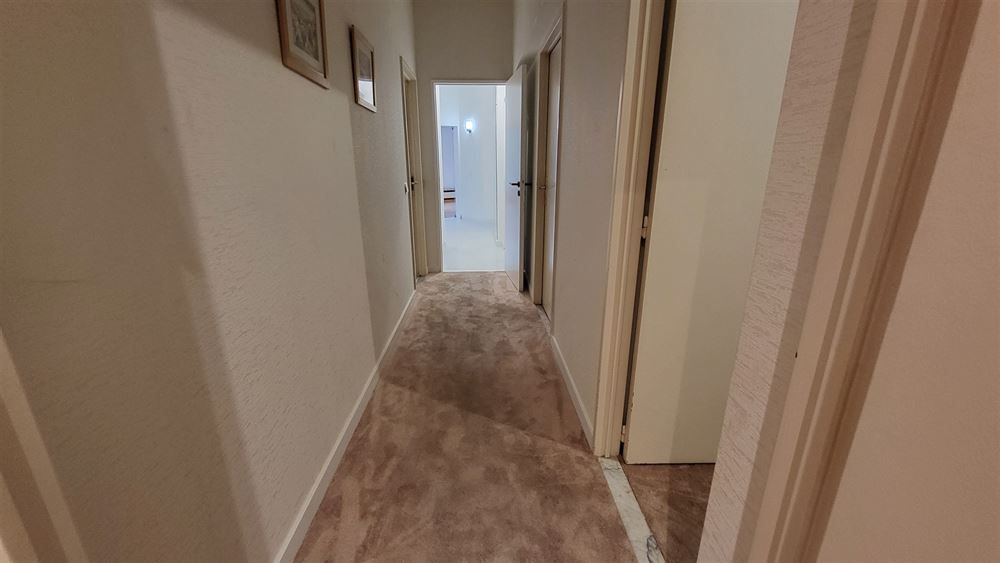 Ruim appartement met zicht op Stadspark foto 17