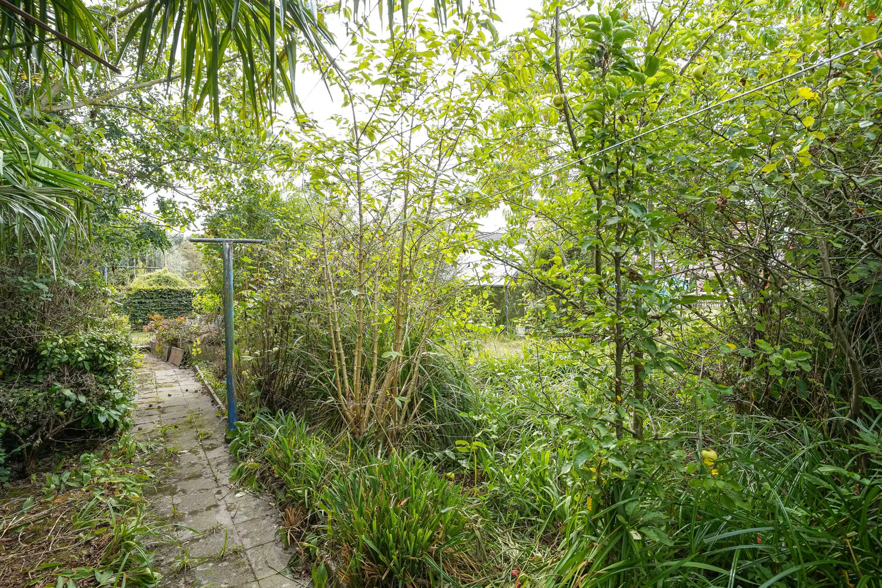 Te renoveren woning met werkplaats en ruim perceel in landelijke omgeving te Londerzeel. foto 31