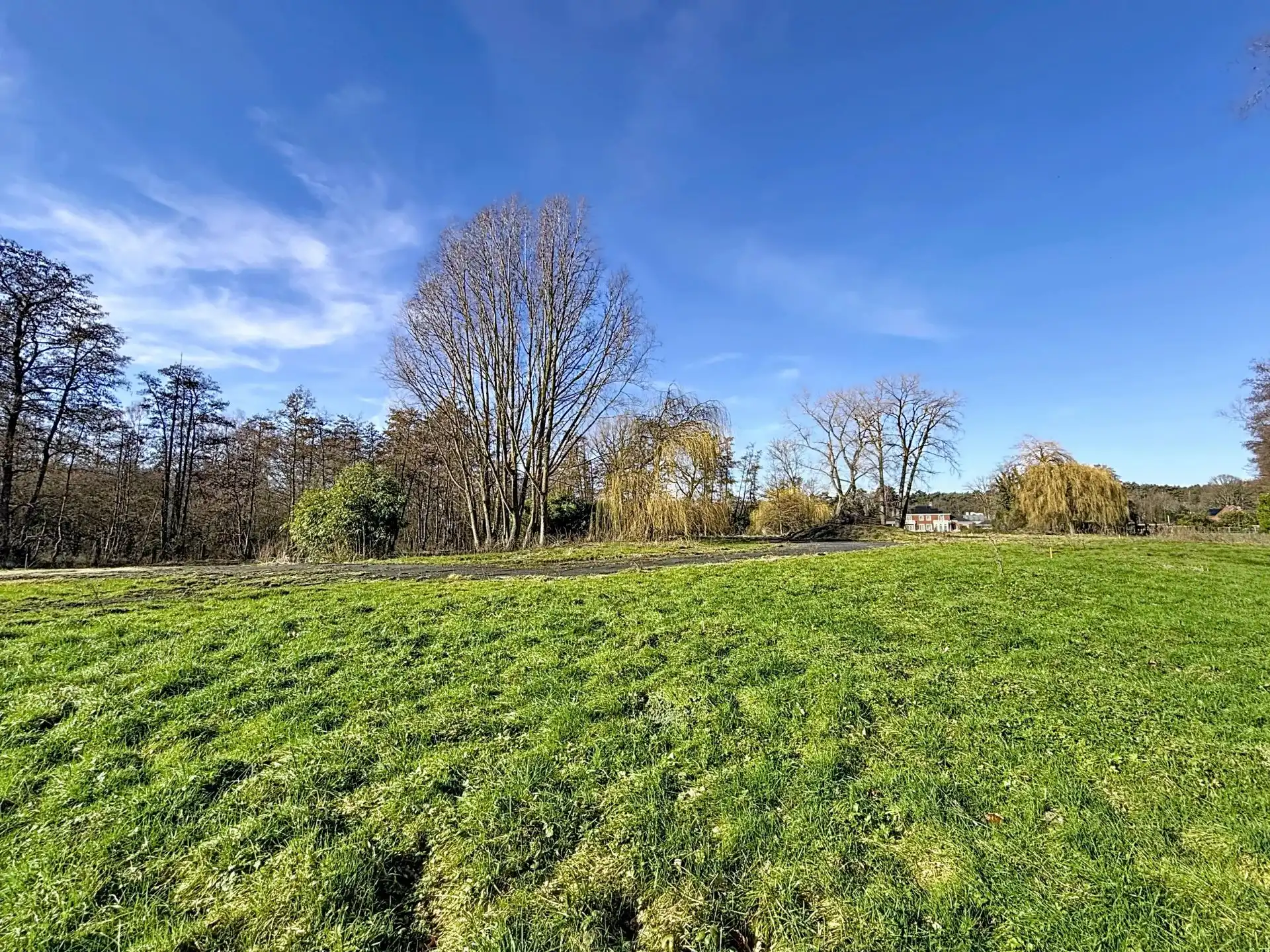 Prachtige luxueuze villa in Amerikaanse stijl met 4 slaapkamers en 2 badkamers. foto 29