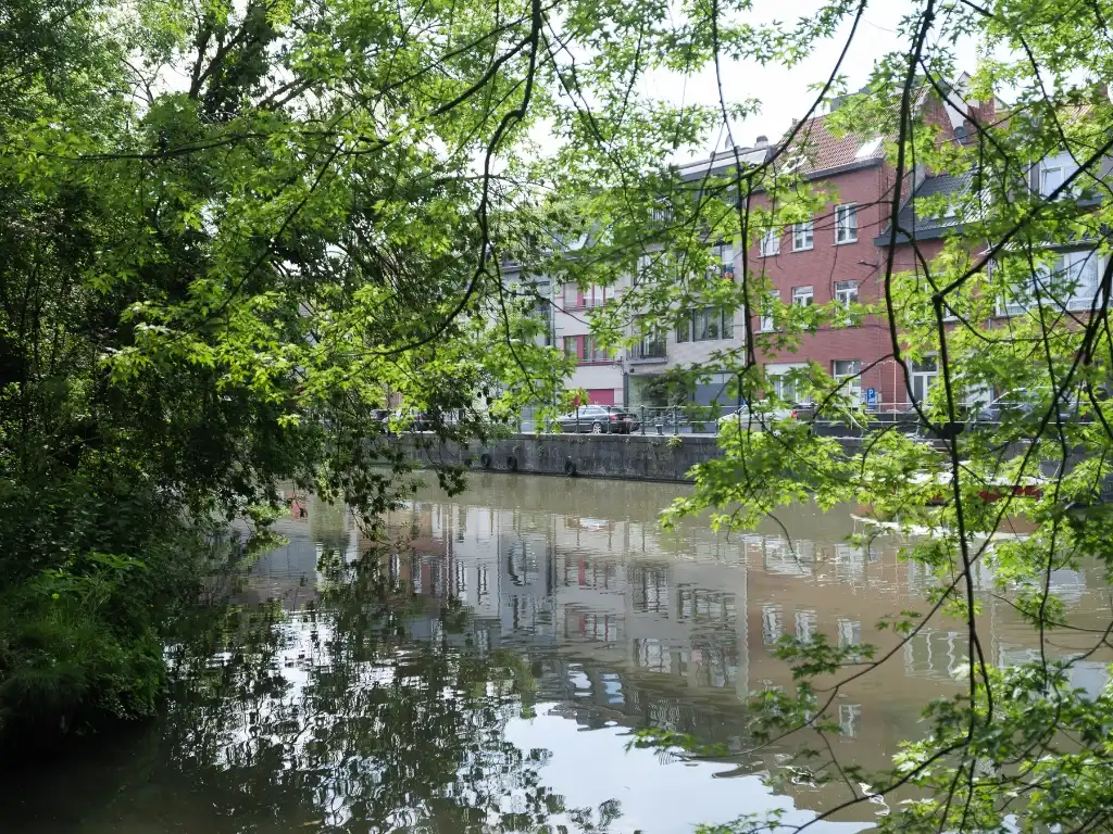 Karaktervolle en authentieke stadswoning in het historisch centrum van Gent. foto 11