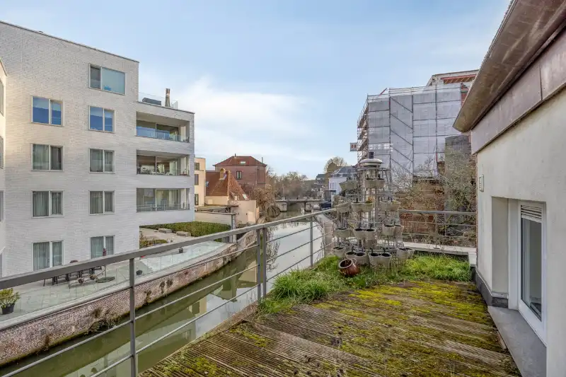 Uniek en uitzonderlijk ruim pand met zicht op de Dijle foto 10