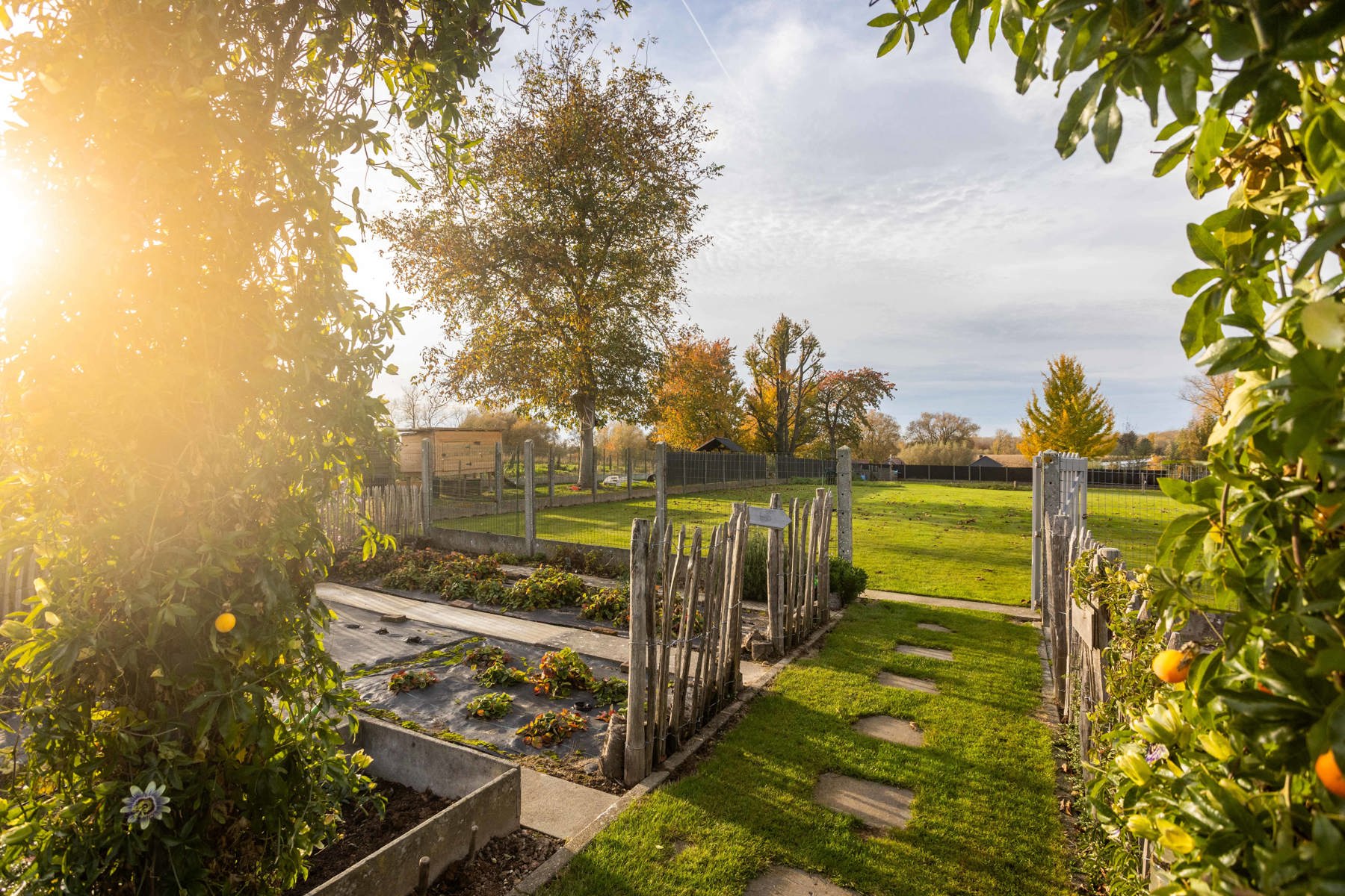 Instapklare bungalow met 3 slaapkamers en ruime tuin. foto 26