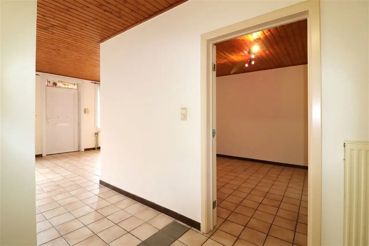 charmant, ruim, mogelijkheid beroep of kangoeroe foto 56