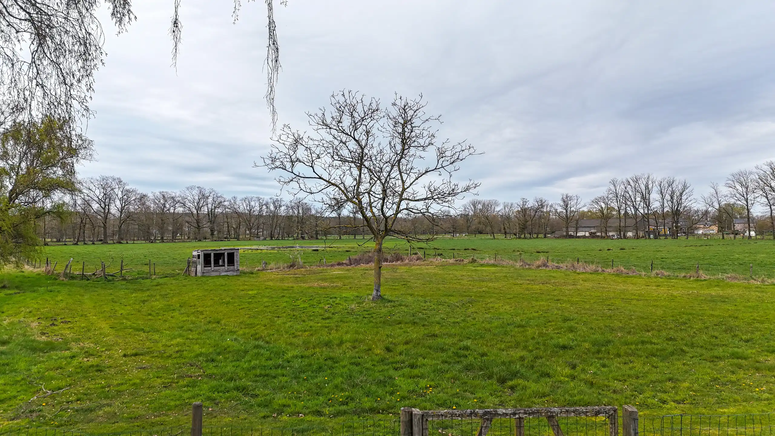 Rustig gelegen woning met riant perceel in Lummen! foto 35