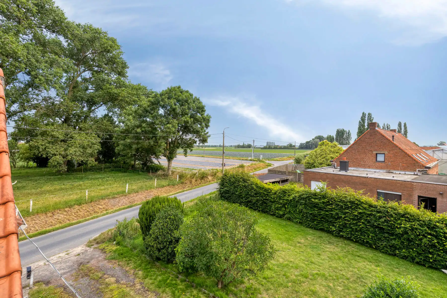Te renoveren woning op een bebouwbaar perceel van 1.982m²!!!!! foto 7