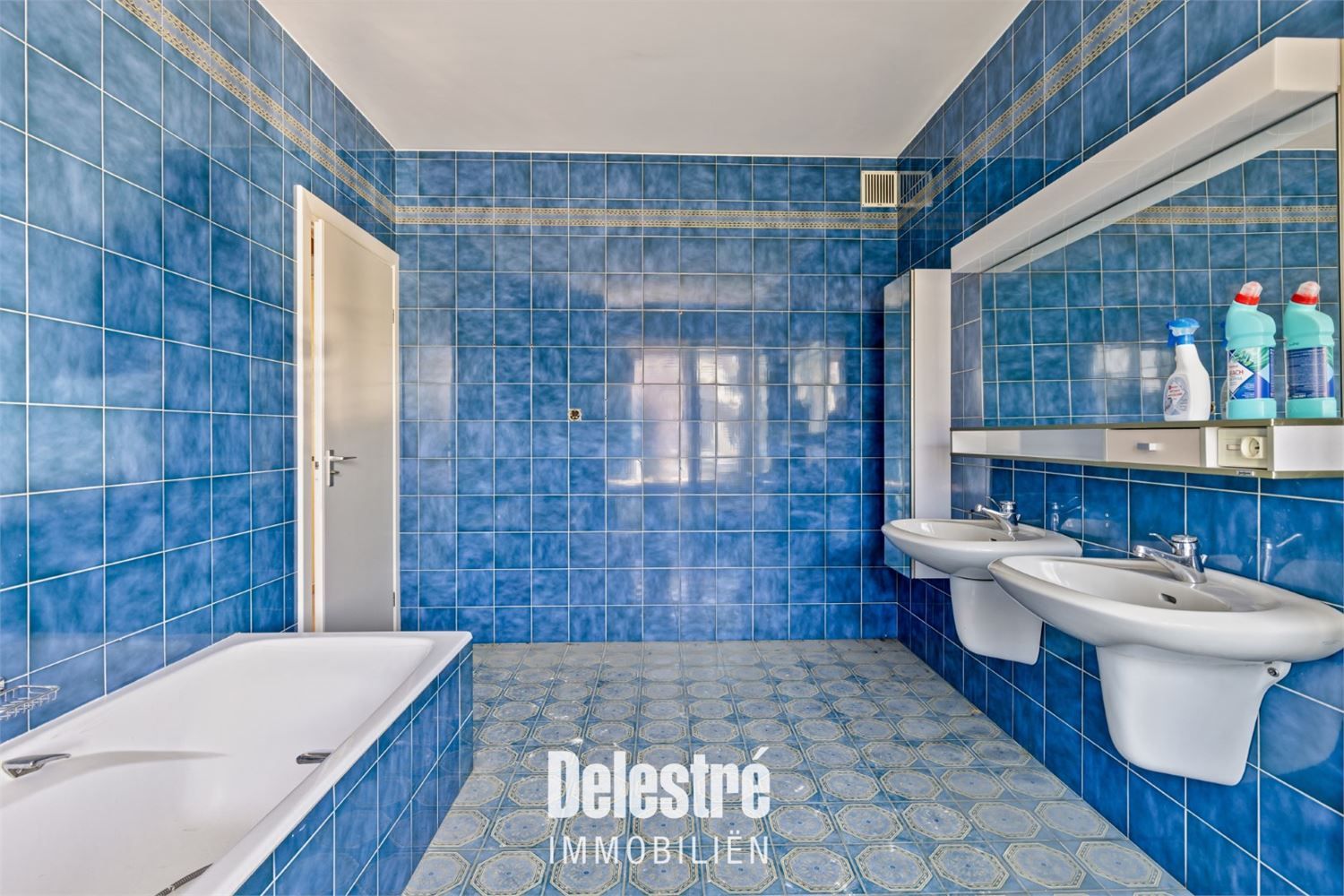 GOED GELEGEN OPBRENGSTEIGENDOM LIER foto 16