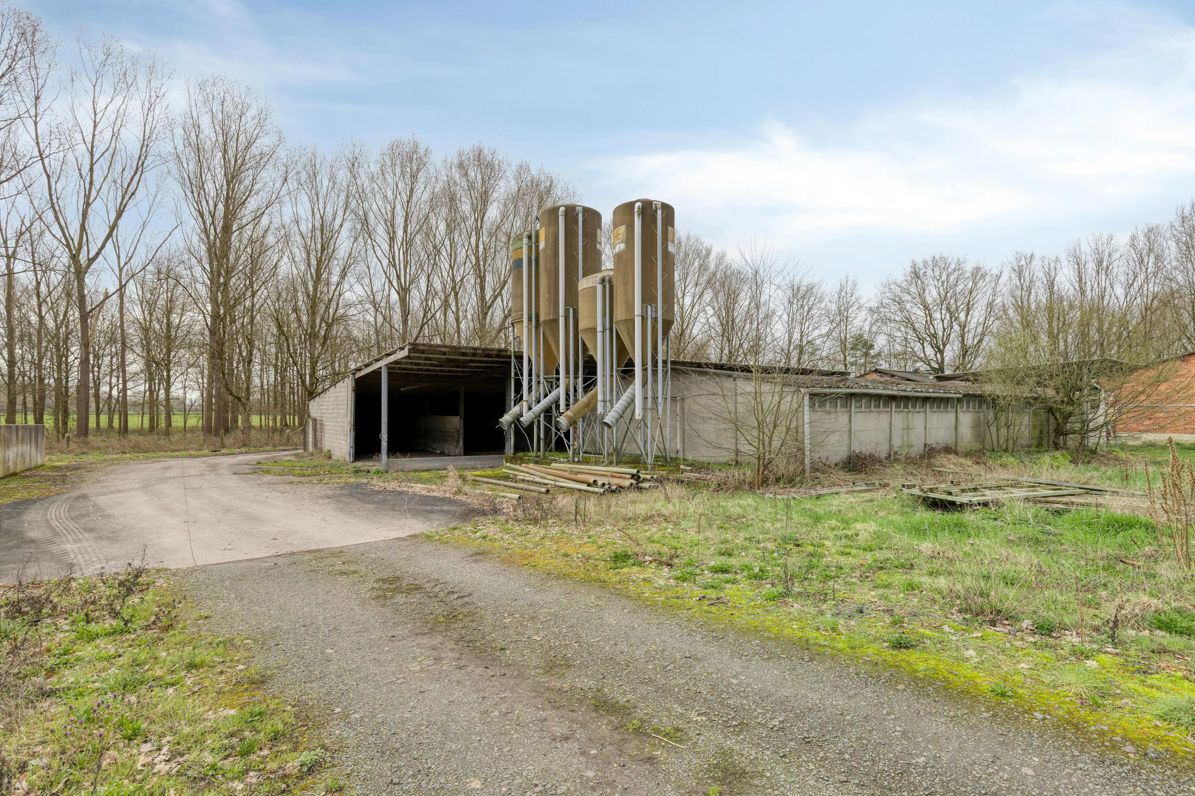 Te renoveren hoeve met stallen op 1 ha 11 are rustig gelegen in Haacht foto 5