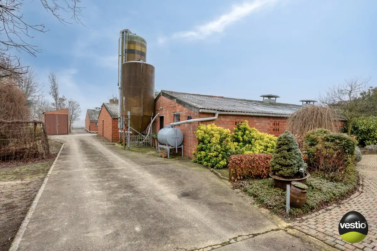VIERKANTSHOEVE MET 4 BIJHORENDE VARKENSSTALLEN TE SINT-HUIBRECHTS-HERN op 65A79CA. foto 39