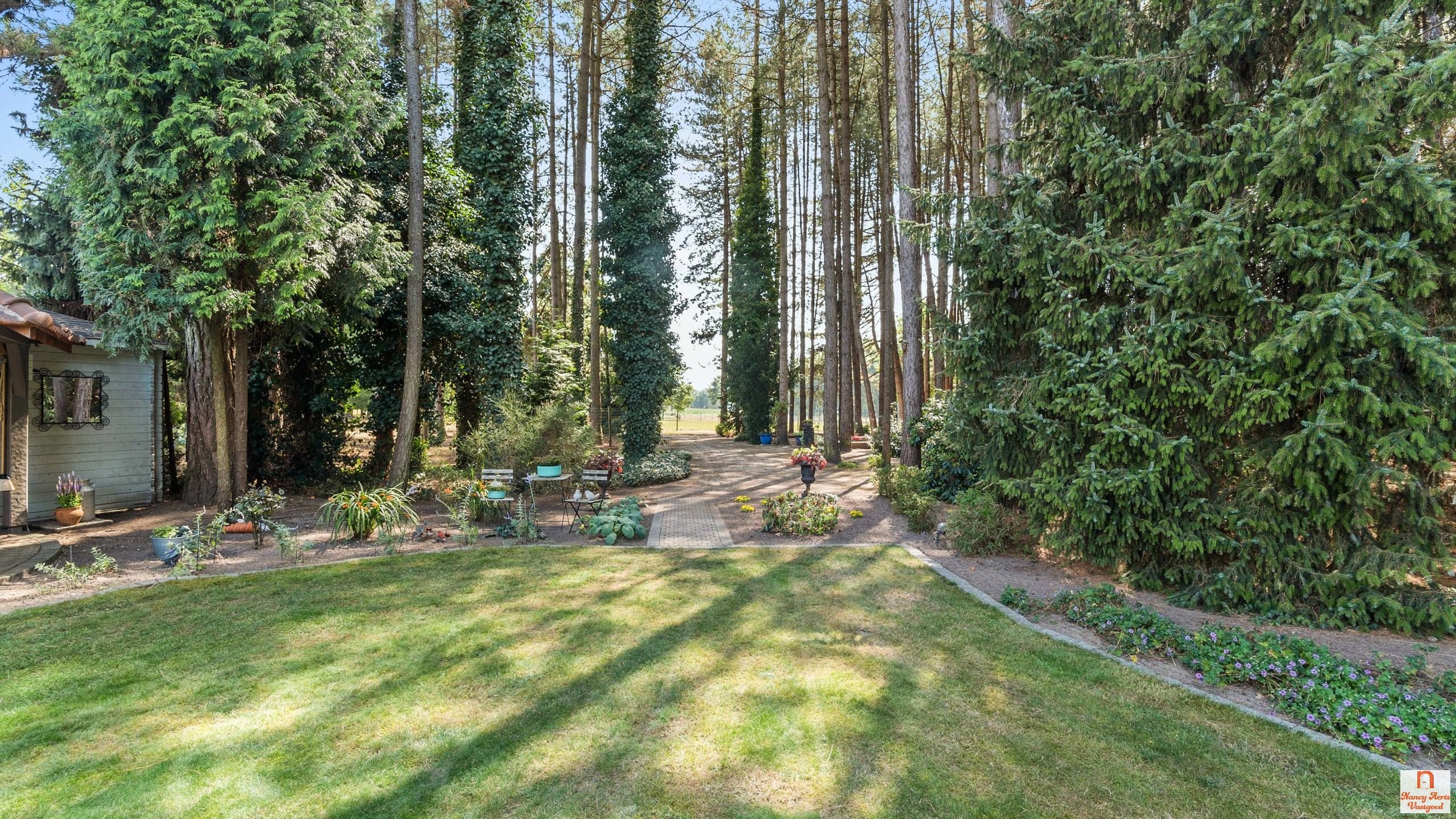 Luxueuze villa met overdekt zwembad, bos en weiland foto 61