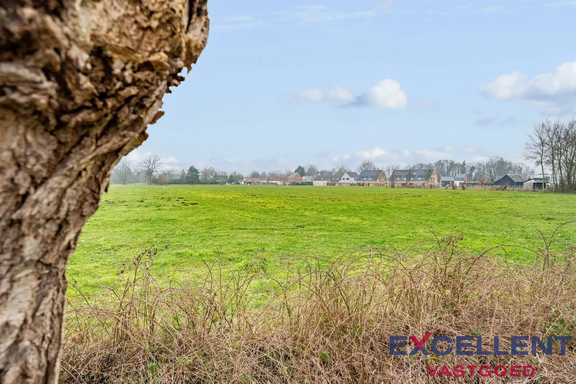 Landbouwgrond te koop te Laarne foto 6