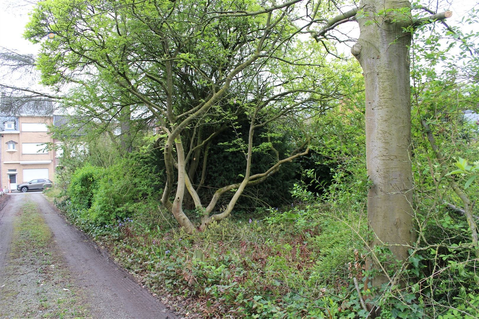Mooie bouwgrond in het centrum van Duffel foto 2