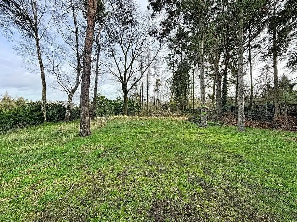 Rustig gelegen grond (997 m²) te koop in Wuustwezel foto 7