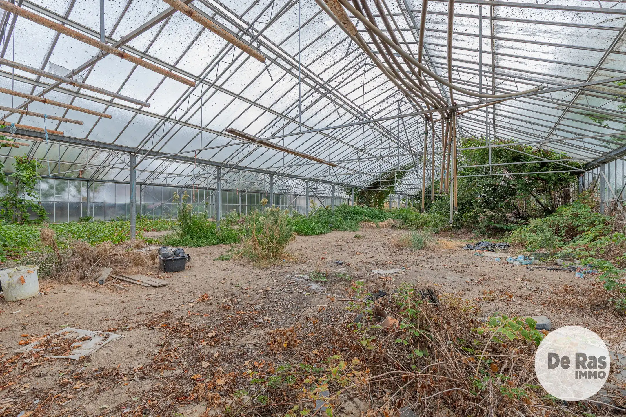 WICHELEN - Te renoveren landbouwwoning met weide en serre foto 28