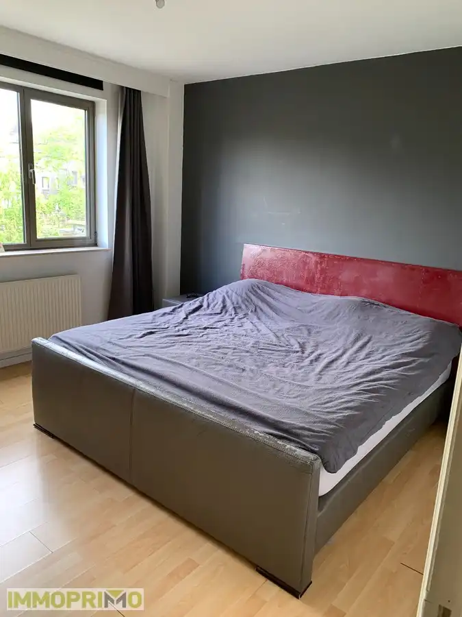 Ruime woning met 4 slaapkamers en garagebox in een woonerf te Mortsel foto 12