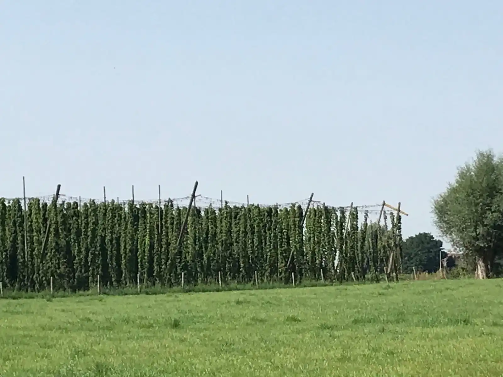 Grond te koop foto 9