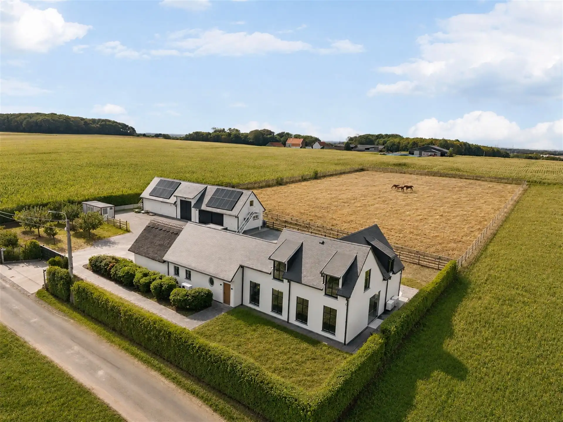 Prachtig gelegen klassewoning met paardenstallen.  foto 3