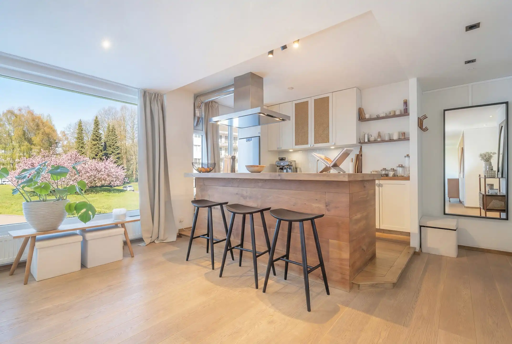 Gerenoveerd appartement met vrij uitzicht op het park foto 4