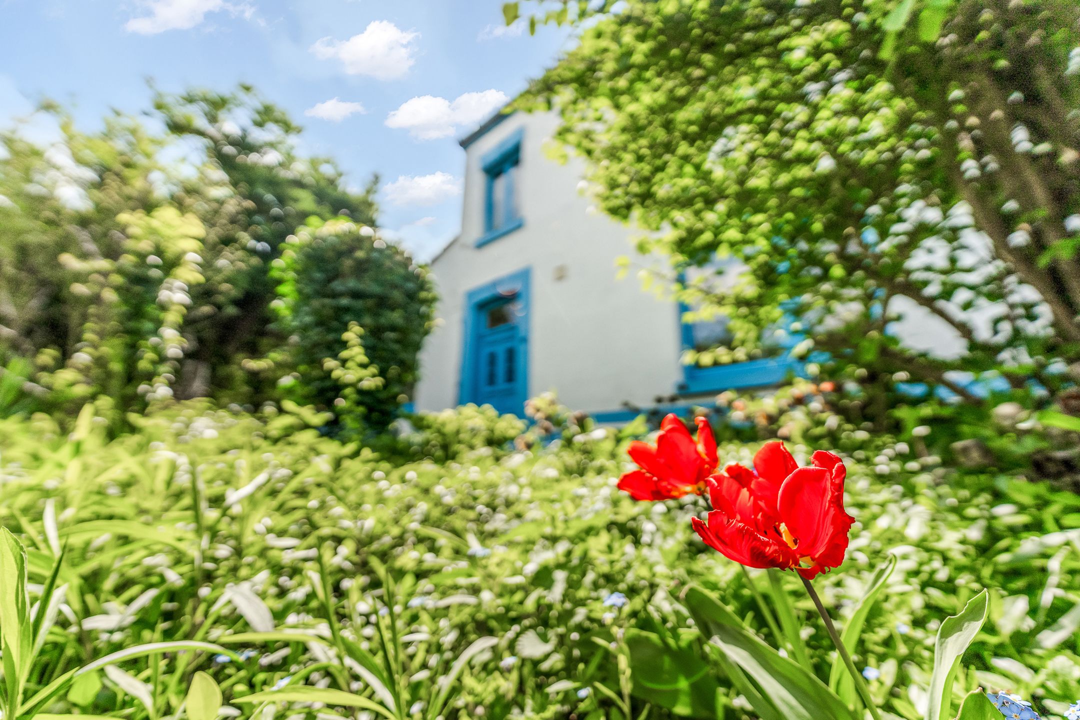 Karaktervolle mergelwoning in het prachtige Kanne foto 27