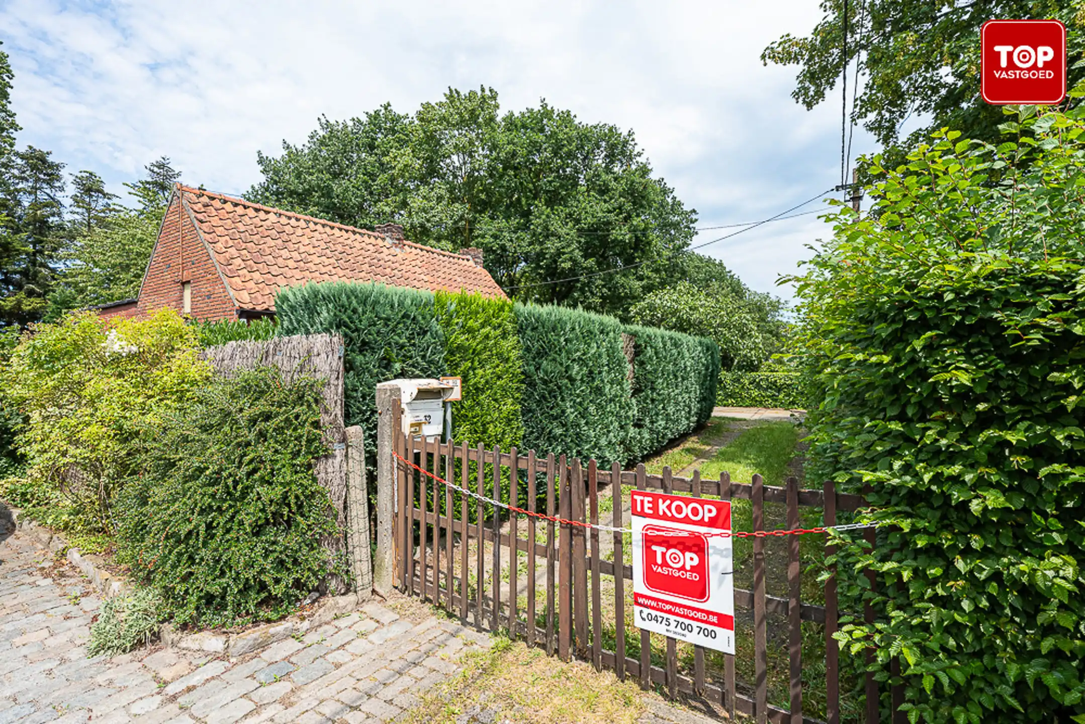 Huis te koop foto 3