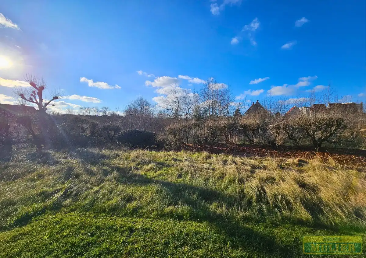 APPARTEMENT GELEGEN AAN DE DUINEN TE DE PANNE foto 13