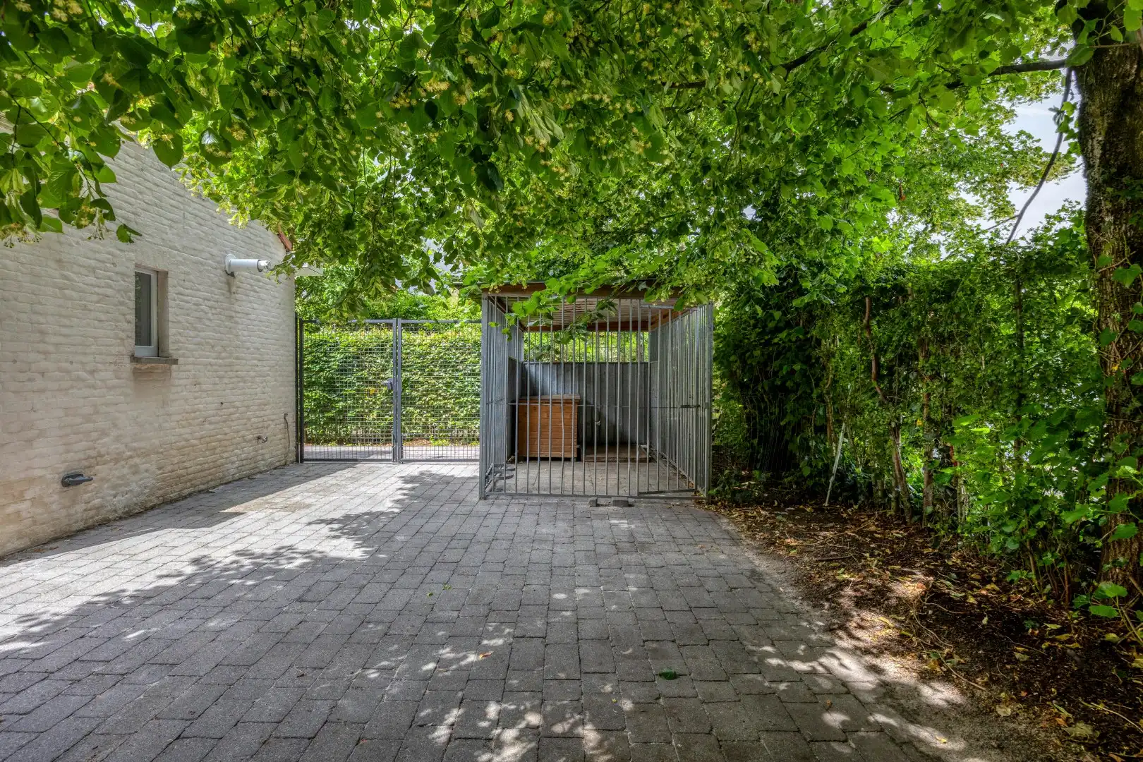 Charmante instapklare woning met 3 slaapkamers op een perceel van 842 m² in Mol !  foto 31