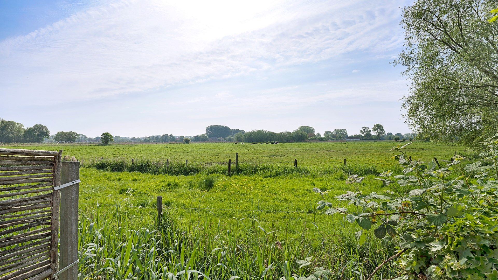 Vernieuwd huis met mooie open zichten te Damme foto 3