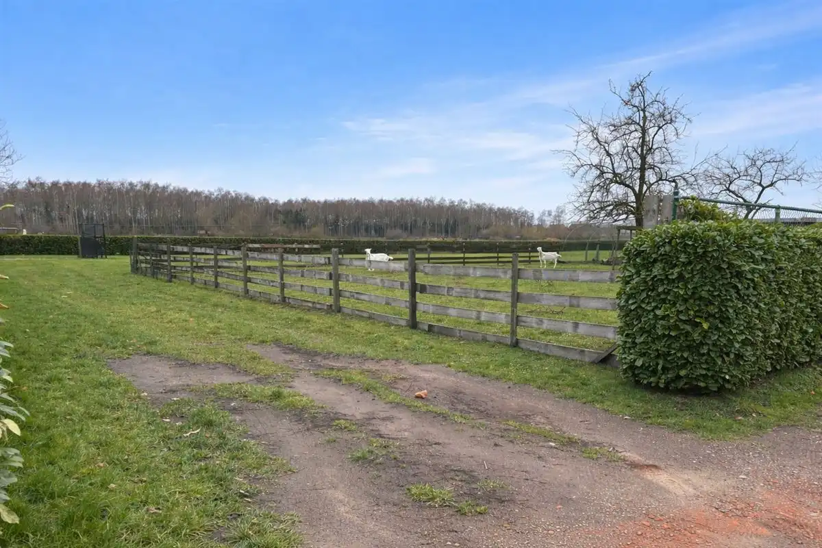 Top gelegen perceel weiland foto 6