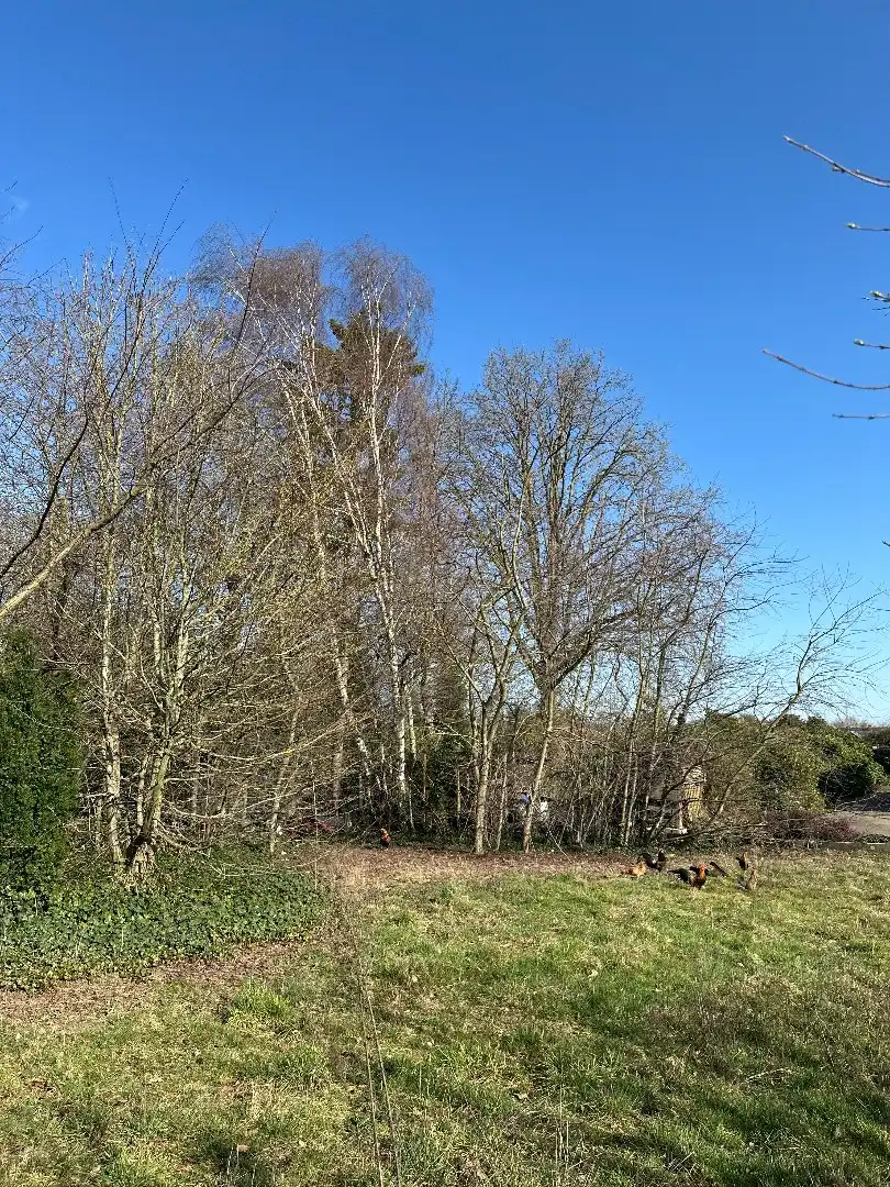 Centraal gelegen bouwgrond voor open bebouwing te Kermt, 14a 53ca foto 13