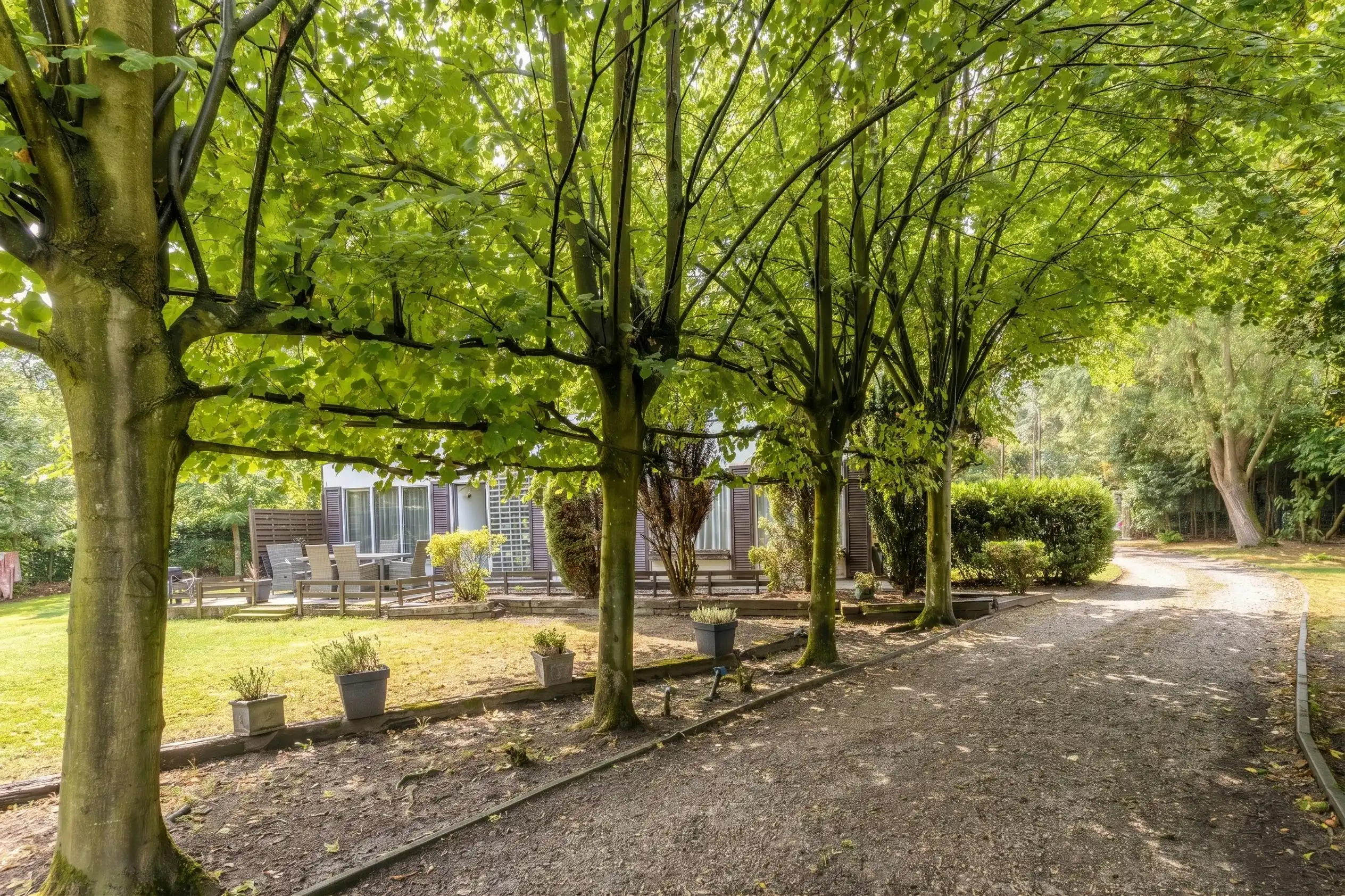 Unieke kans op een riant perceel van 3.180 m² te Aalter! foto 3