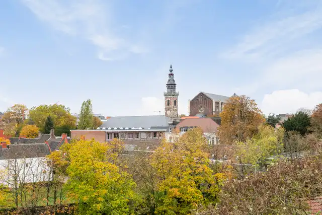 Exclusief duplex-appartement met 3-slk en riant terras op gegeerde ligging aan de Visserij foto 35