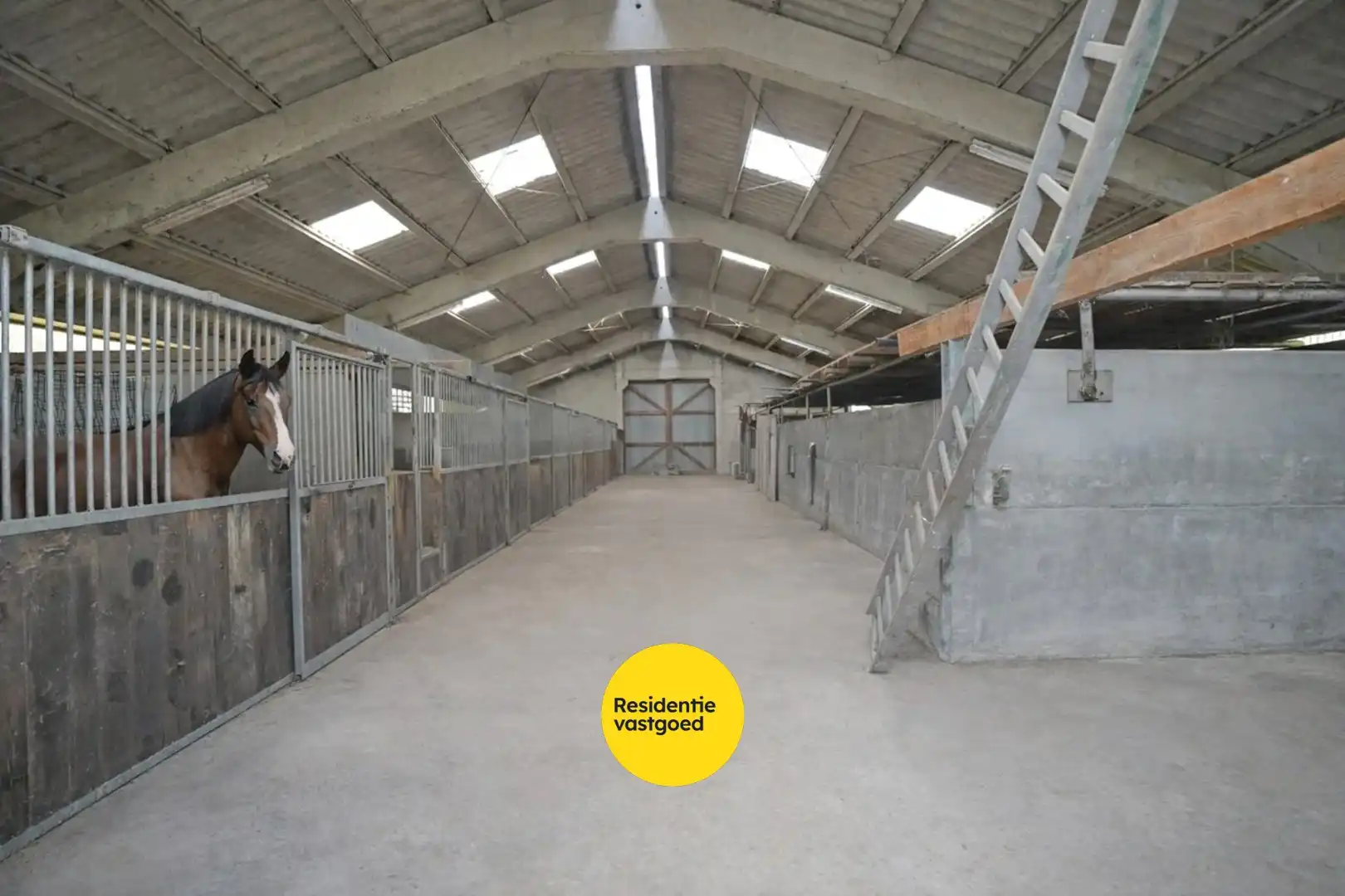 Recente open bebouwing (2019) op een perceel van maar liefst 44.888 m² foto 23