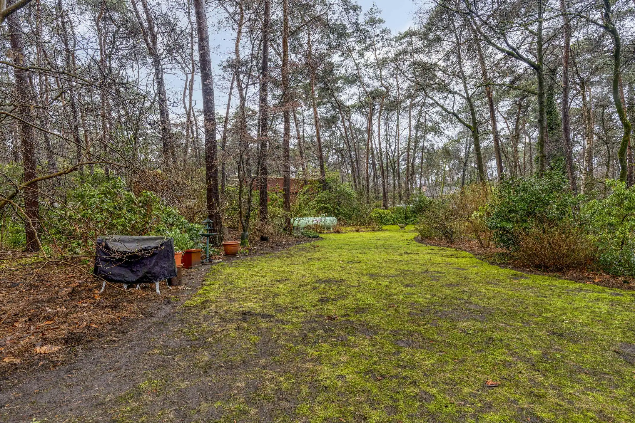 Verzorgde woning op prachtige bosgrond te koop in Wuustwezel foto 38