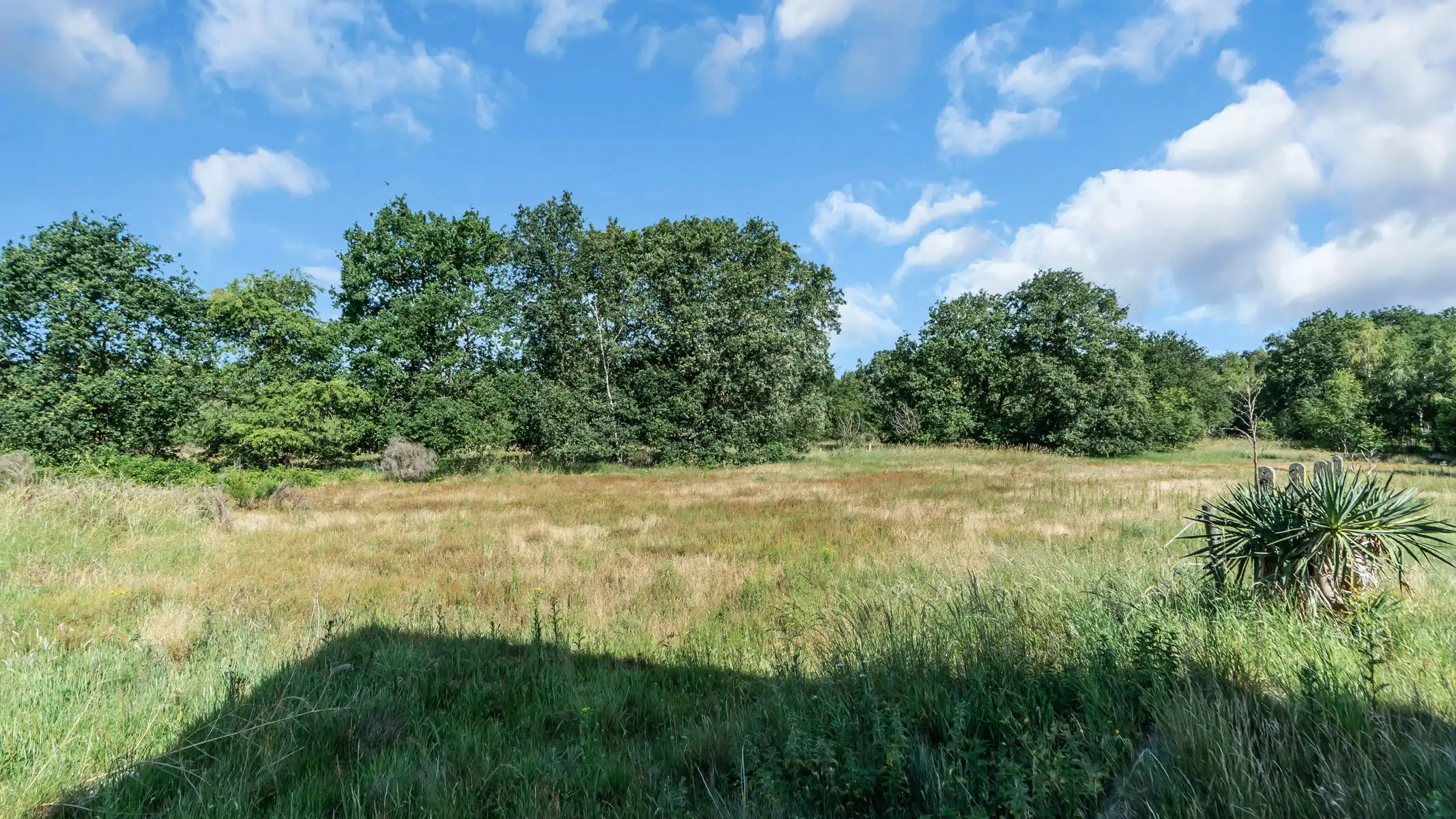 Huis te koop foto 4