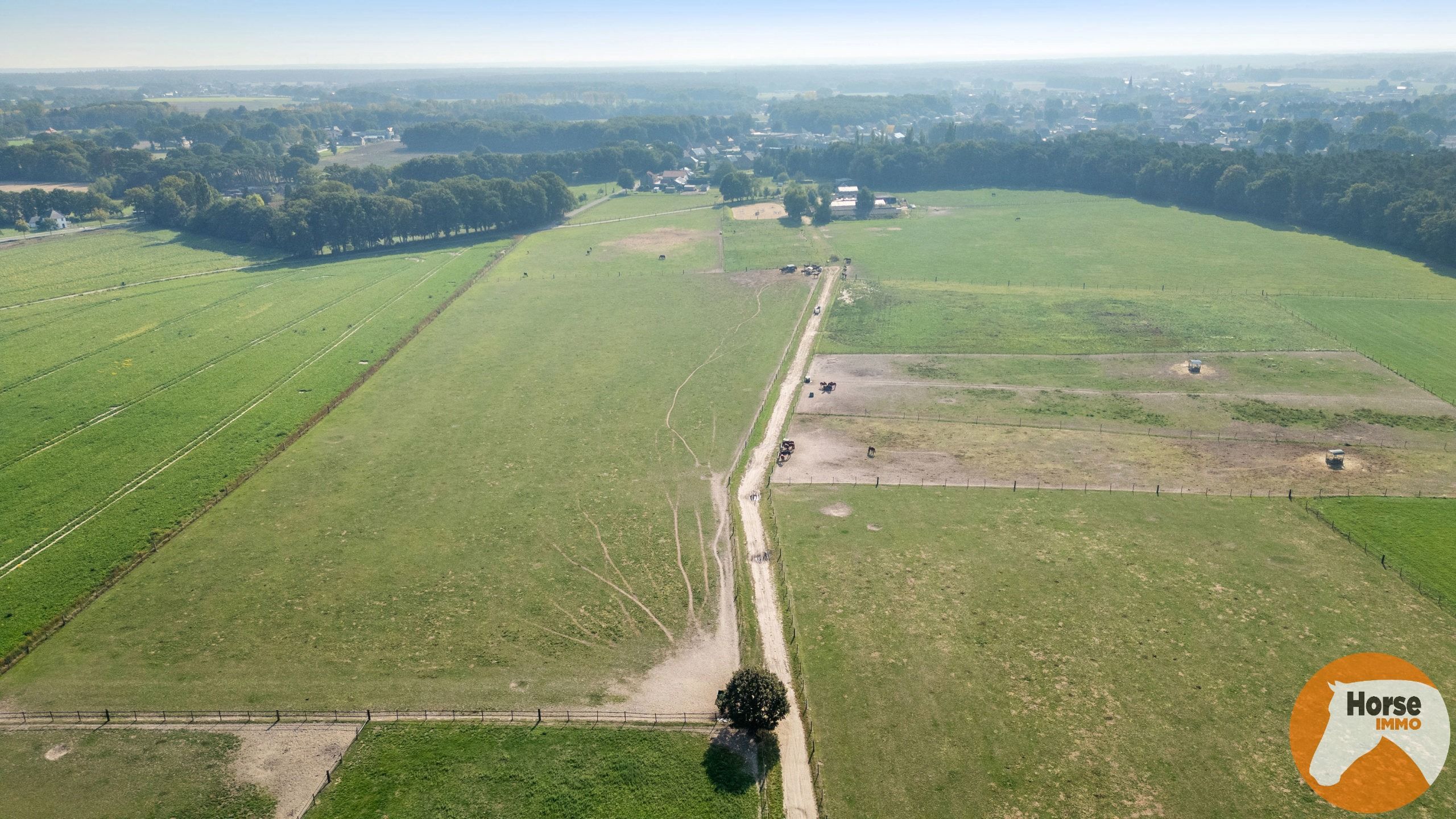 OUDSBERGEN - Prachtig gelegen woning met loodsen op 2ha5 foto 34