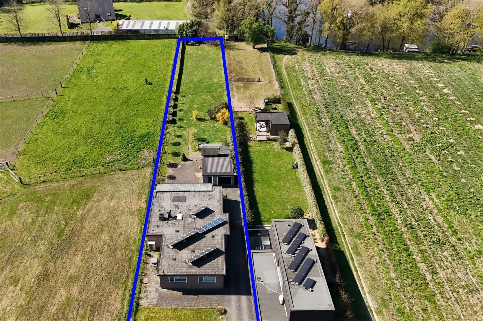 Rustig gelegen gelijkvloers-woning te Koningshooikt - nabij Duffel foto 3