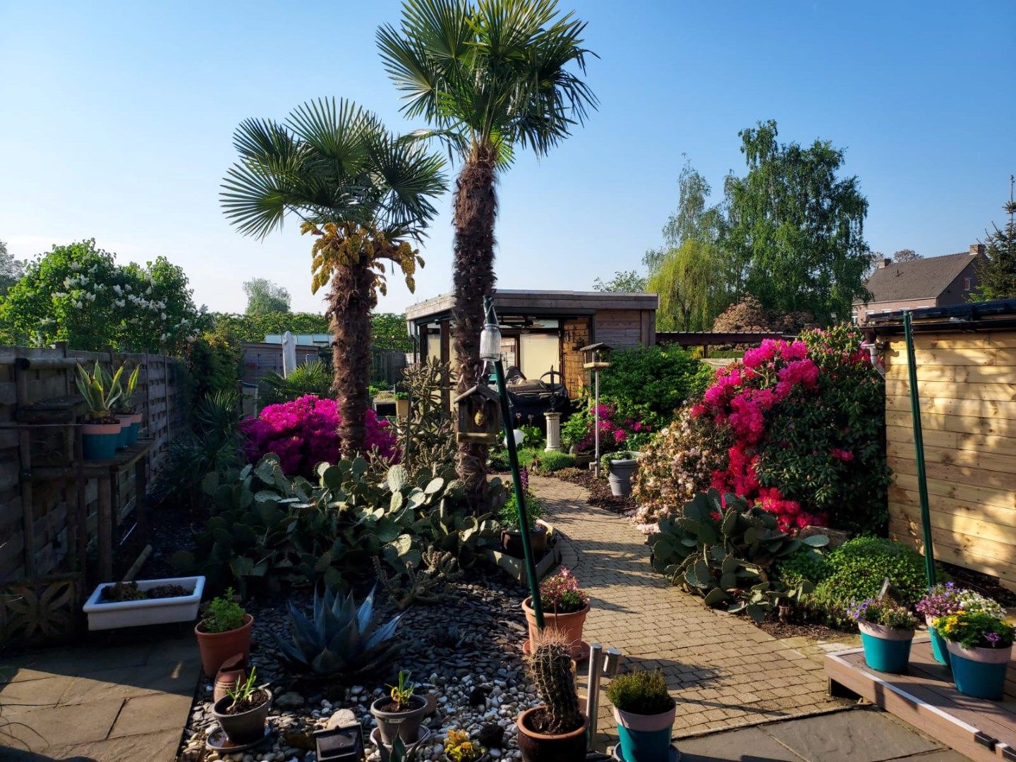 Gezinswoning met 5 slaapkamers, 2 badkamers en prachtige tuin foto 27