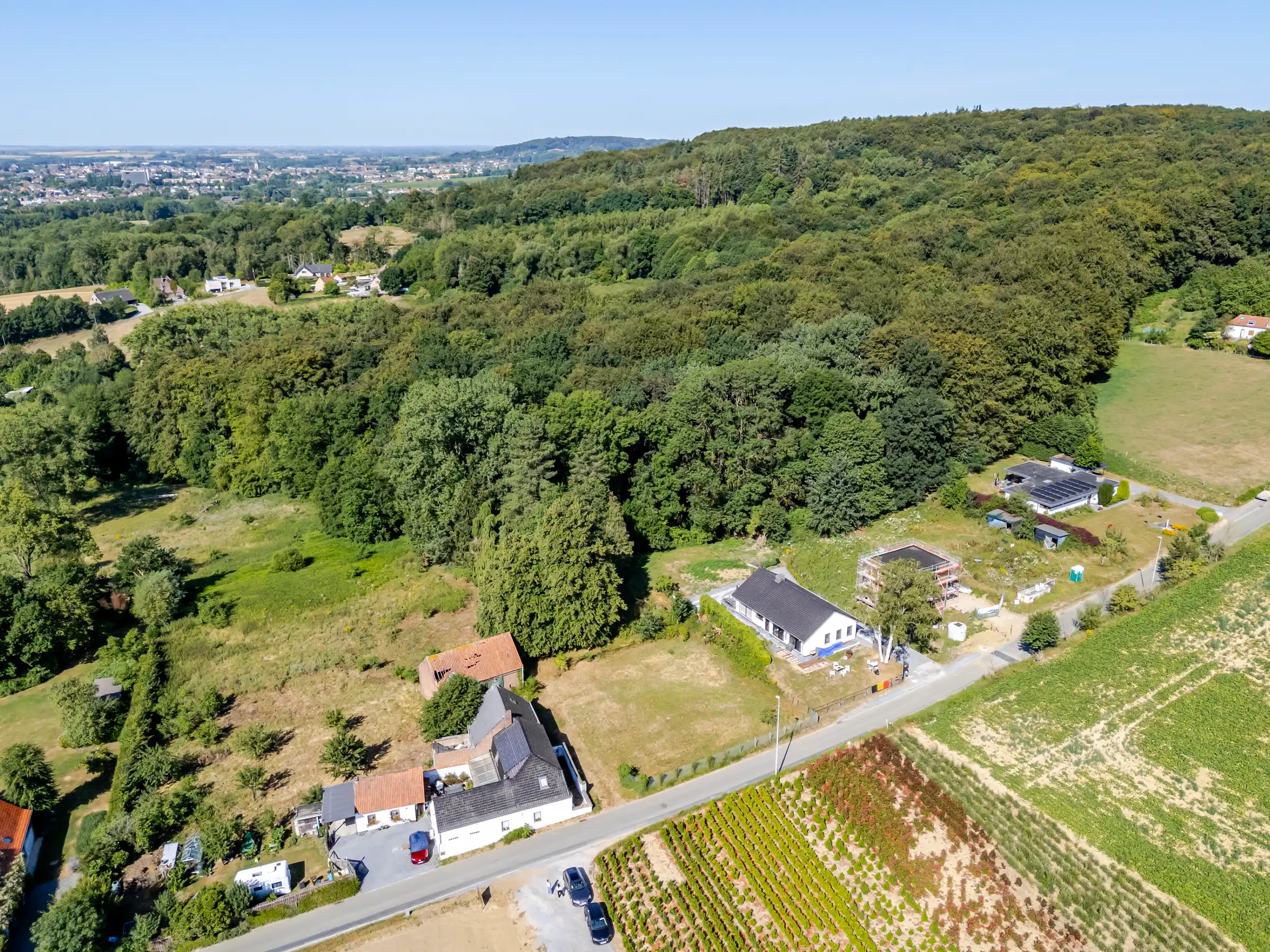 Uitzonderlijke bouwgrond met 14.220 m² aan de Kanarieberg foto 10
