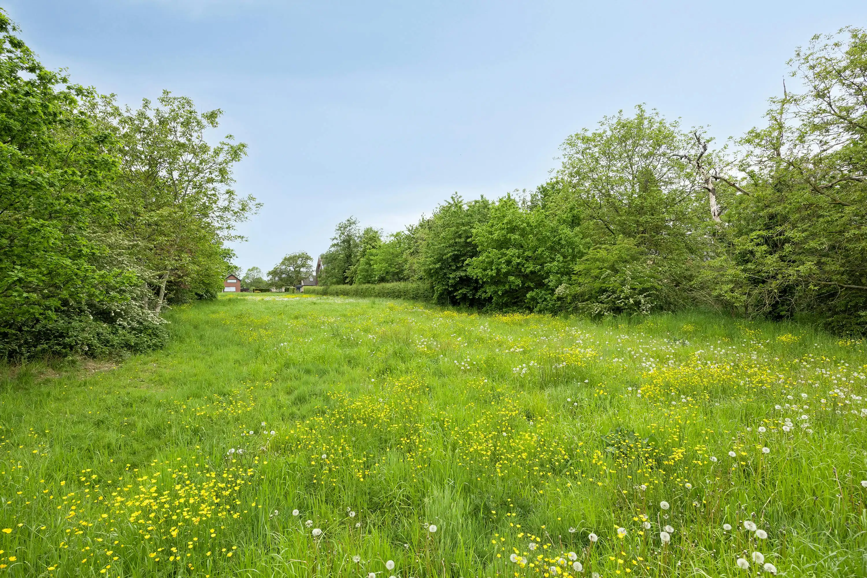 Bouwgrond te koop: OB of project in Rotem (22a 35ca) foto 8