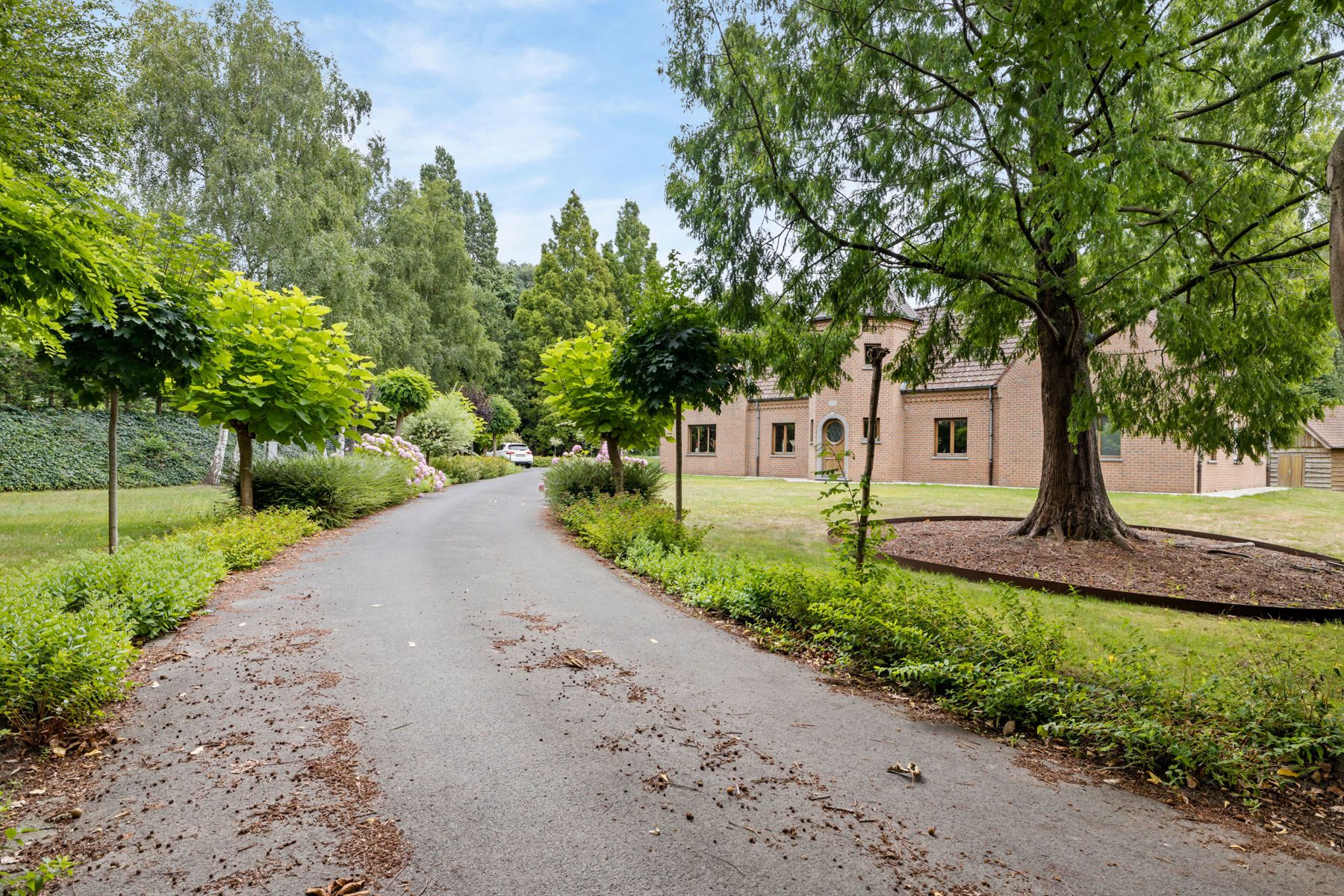 Uitzonderlijk ruime villa op 5300 m2 met hobbyloods foto 2