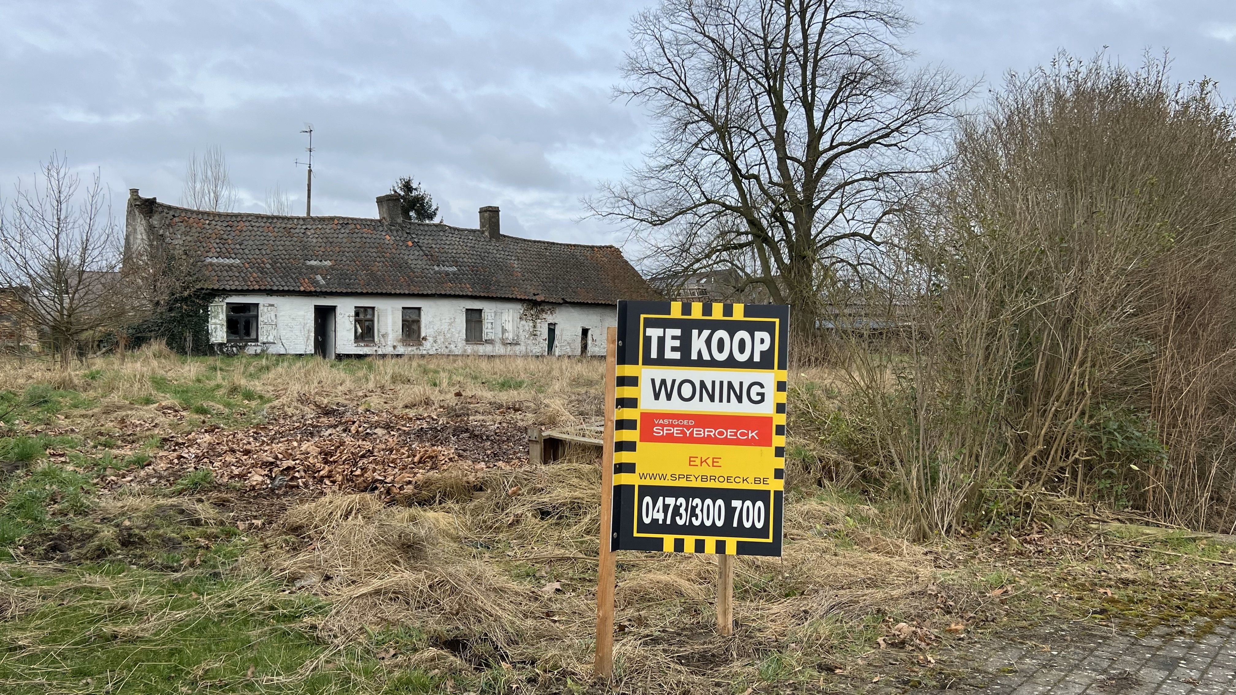 TE KOOP in DE PINTE aan de Bosstraat 143 foto 2